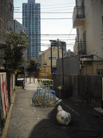 2012-03-20-039.jpg