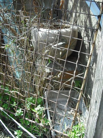 2012-03-20-054.jpg