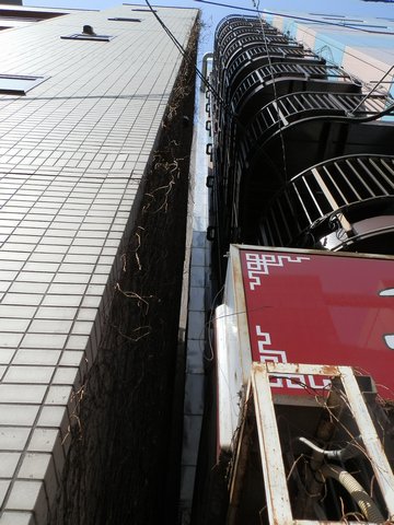 2012-03-20-076.jpg