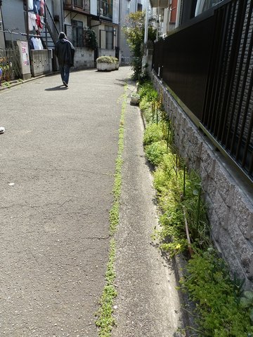 2012-03-20-096.jpg