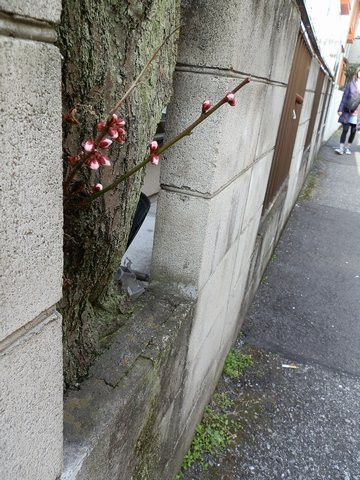 2012-03-20-158.jpg