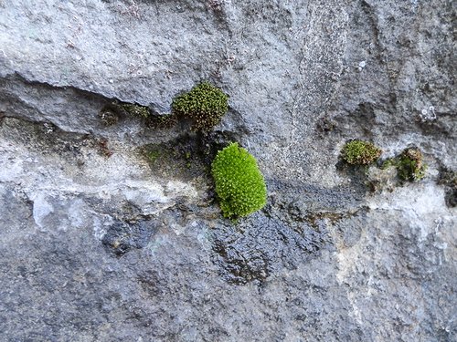 20121027-13.jpg