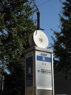 sugi001-16.jpg