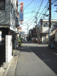 sugi001-17.jpg
