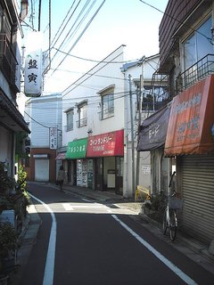 sugi001-46.jpg