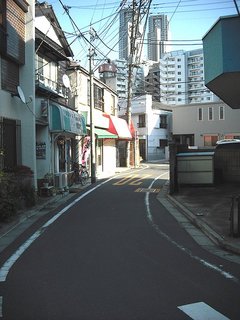 sugi001-47.jpg